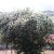 campingyuste (2)